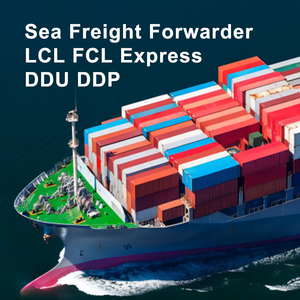 Лучшие грузовые услуги Ddu/ddp Fcl Lcl экспресс-доставка Оптовая продажа одежды от двери до двери в Египет Марокко - Product Image 2