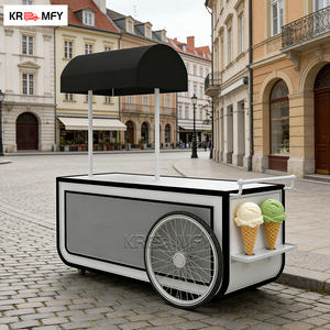 Carrito Triciclo Eléctrico de Fibra de Vidrio con Vitrina para Helados y Paletas Italianas, con Certificación CE - Product Image 2
