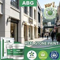 Peinture à l'effet pierre naturelle à faible odeur avec granulats de roche mélangés pour la décoration murale des villas et centres de villégiature