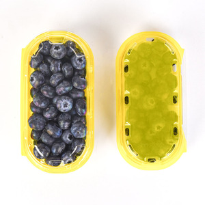 Bán Buôn Dùng Một Lần Nhựa Thực Phẩm Cấp Pet 250G Có Thể Tái Chế Trái Cây Tươi Blueberry <span class=keywords><strong>Raspberry</strong></span> Bao Bì Hộp - Product Image 5