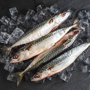 Caballa Saba entera congelada, captura salvaje, cabeza de pez Salem en mariscos congelados eviscerados, pescado de estilo japonés para parrilla, uso de freír Bento - Product Image 6