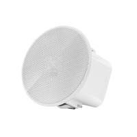 Haut-parleur de plafond passif étanche 5W 2 pouces en ABS pour système de sonorisation public, idéal pour piscine, cuisine, sauna, zone humide et audio d'ambiance