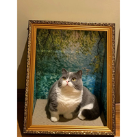 Planche à gratter pour chat encadrée avec motif de chat style peinture à l'huile, en carton ondulé durable, servant également de tapis à gratter et d'art mural décoratif