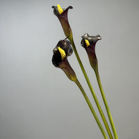 Fleurs artificielles en PU épais, calla et alocasia, douces, pour la maison et l'extérieur, accessoires de photographie de mariage, matériaux floraux