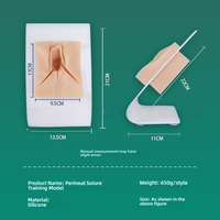 Modèle de pratique de suture en obstétrique et gynécologie Module de formation à la suture vulvaire périnéale Simulateur de compétences de suture avancé