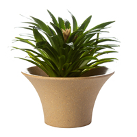 Pot de fleurs succulente Cactus de grande taille, plat coloré, style nordique, avec plateau