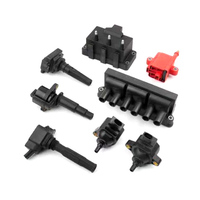 cng ignition coil F01R00A024 for cherry ignition coil for chery qq ignition parts