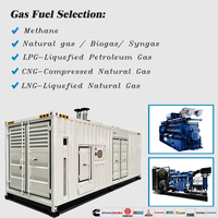Générateur électrique Cummins super silencieux de 1 MW 1000 KW au GPL, au gaz naturel, au biogaz, au gaz synthétique, certifié CE