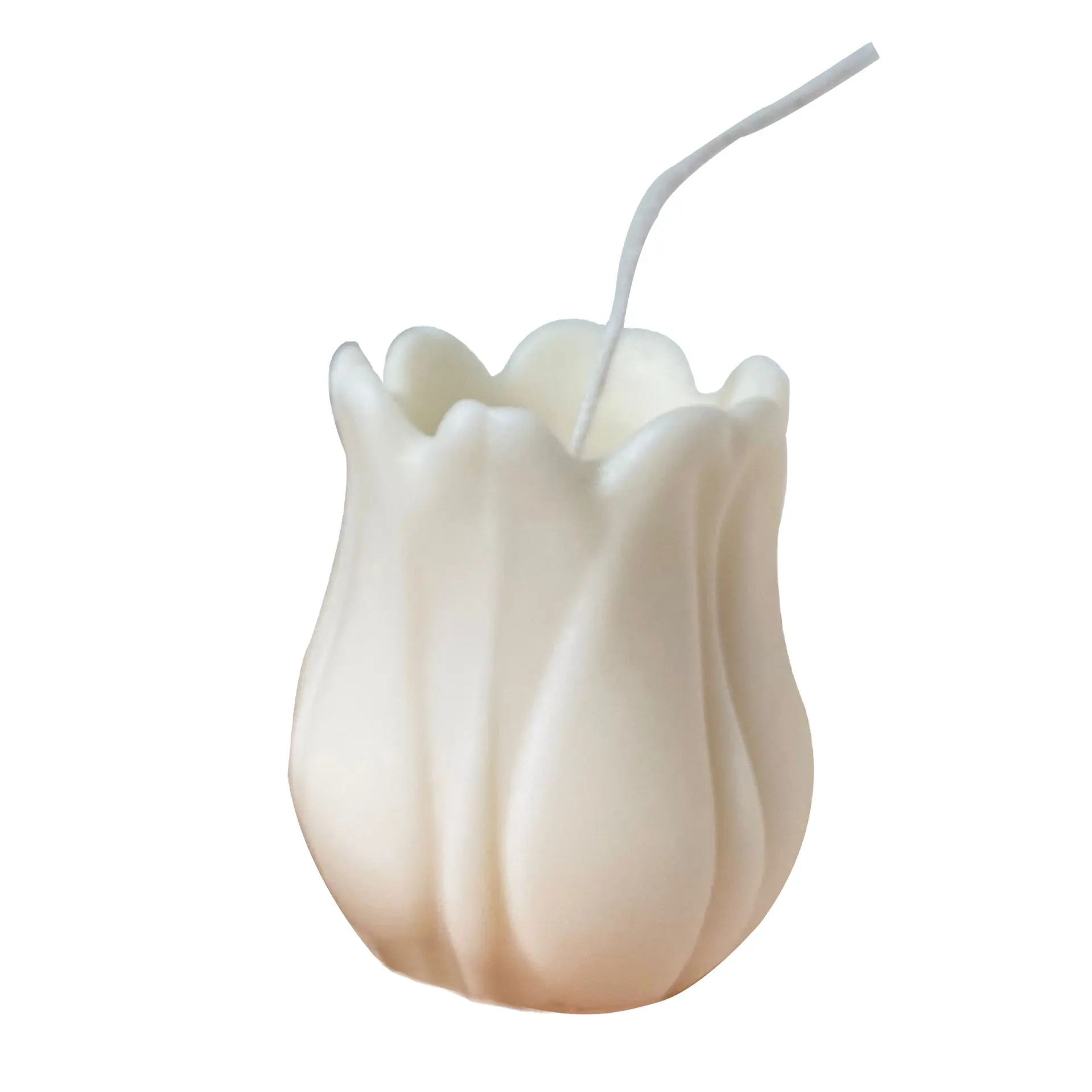 Top Bán Tự Nhiên Hiện Đại Sang Trọng Nhãn Hiệu Riêng Xi Măng Nến Jar Tinh Dầu Hoa Tulip Shape Đậu Nành Sáp Thơm Xi Măng Nến