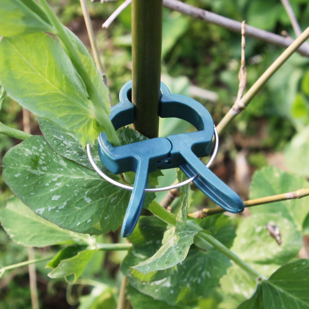 Fabricant En Plastique Clip Grande et Petit Jardin Orchidée Appui D'usine De Tomate Clips En Acier À Ressort pour Jardin