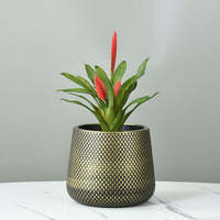 Support moderne d'extérieur bon marché pot de fleur décoratif vente écologique jardinières en plastique PE fleurs de jardin plantes vertes cactus grand pot