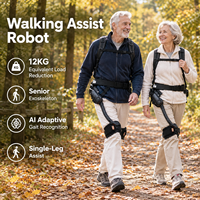 Exosquelette industriel passif : Système d'assistance à la force pour la taille et les bras, réduit la fatigue lombaire pour les travailleurs d'entrepôt et d'usine