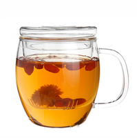 Ensemble de tasses à thé en verre borosilicate de 350 ml et 450 ml, faites à la main, résistantes à la chaleur, pour la maison et le bureau, avec infuseur et poignée