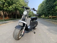 Avrupa Depo Şehri Coco E-Scooter Büyük Tekerlekli Çıkarılabilir Bataryalı Elektrikli İki Tekerlekli Araç