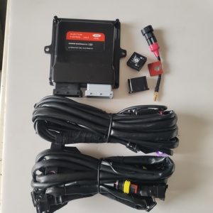 ชุดแปลงรถยนต์เป็นระบบก๊าซ CNG สำหรับขายส่ง ชุดแปลงก๊าซ CNG คุณภาพสูงสำหรับเครื่องยนต์ 4 สูบ / 6 สูบ ชุดแปลงก๊าซแบบฉีดตรง - Product Image 2