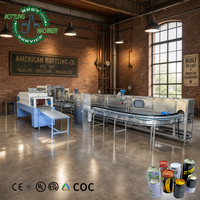 Ligne de remplissage de canettes de qualité industrielle, 15 000 canettes par heure, 30 têtes, avec filtre CO2 et refroidisseur d'eau, pour canettes de boissons de 0 à 500 ml