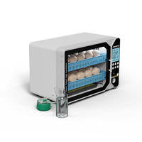 Incubateur Entièrement Automatique à Bas Prix pour 40 Œufs de Poule et de Dinde – Vente en Gros