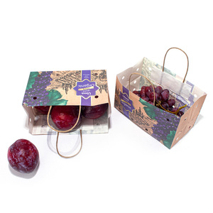 Thiết kế cá nhân táo nho cam <span class=keywords><strong>kraft</strong></span> giấy bao bì trái cây có tay cầm ướt màu nâu - Product Image 5