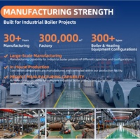 Huanuo DZL Industrial Horizontal 1-20 Ton Boiler Uap Otomatis Berbahan Bakar Batubara Biomassa Pelet dengan Rantai Grate Stoker.