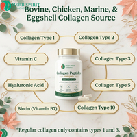 Comprimés de collagène OEM/ODM pour favoriser la santé des cheveux, la beauté de la peau et le soutien des ongles - Complément alimentaire en poudre de collagène