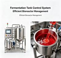 Biorreactor de Sobremesa de Vidrio con Agitación Mecánica |   Fermentador de un Solo Canal, Suministro Directo del Fabricante