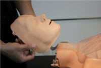 Maniquíes de RCP Ajustables para Adultos y Niños, Modelo de Medio Cuerpo para Prácticas de Enseñanza de Ciencias Médicas en la Escuela de Medicina