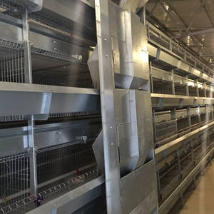 Vendita direttamente in fabbrica a basso prezzo H tipo bambino pulcino cotton <span class=keywords><strong>Cage</strong></span> giorno vecchio pulcino gabbia di pollo gabbia batteria - Product Image 4