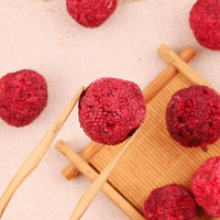Premium Natuurlijk Gevriesdroogde Bayberry Zonder Toegevoegde Suiker Gezonde Gevriesdroogde Gehele Waxberry Fruit Snack