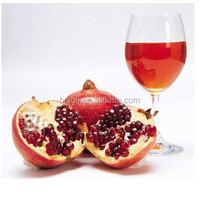 Fabrieksgroothandel handmatige groente- en fruitpers met meelfabriekfunctie, hoge productiviteit