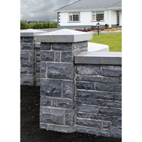 Vente en gros de colonnes romaines modernes européennes sculptées en pierre naturelle, granit, marbre G603, avec capitale et surface flammée pour extérieur