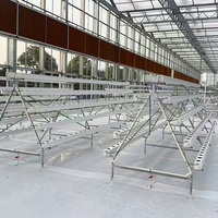 Systèmes de culture hydroponique NFT, serre, système hydroponique complet NFT pour la culture de la laitue en intérieur