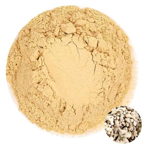 Poudre de gingembre séché non soufré en vrac pour usine, épice de gingembre pur <span class=keywords><strong>d</strong></span>éshydraté pour marinades, soupes, boissons, restauration, OEM, vente en gros - Product Image 1