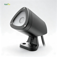 Outdoor IP65-Zertifizierter LED-Aluminium-Spike-Strahler mit DC/AC-Stromversorgung für Gartennutzung Warmweißes Licht