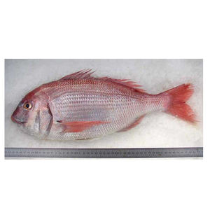 whole sea bream