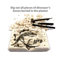 Informations géographiques nationales sur les empreintes de dinosaures, jouets fossile, kit de creuser, jouet à vendre, bon marché pour les adultes de classe