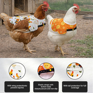 Delantal impermeable transfronterizo para pollos, patos y gansos con alas, ropa protectora para mascotas, chaleco térmico para pollos y patos - Product Image 4