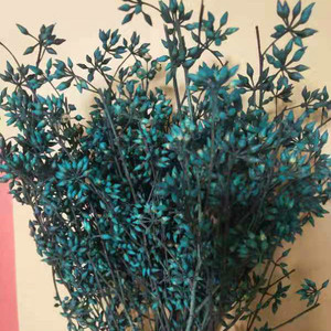 Petit Millet Fruit Fleurs Séchées Préservées Artisanat Maison Cadeau Composition Florale <span class=keywords><strong>Bouquet</strong></span> de Fleurs Fête des Mères Noël - Product Image 4