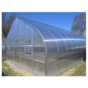 Agricultural Commercial Industrial Tomato Low Cost Single-Span Greenhouse