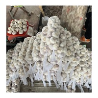 Vente en gros Chine Ail blanc frais Distributeur d'ail blanc pur Fournisseur d'exportation à vendre Alibaba