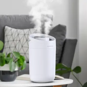 Ion negativo Aroma DiffusersUltrasonic essenziale doppio ugello lunga vita domestico nebbia Fine umidificatore