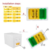 Mise à niveau Polystyrène Mating Nucs Hive
