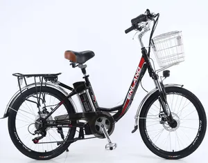 Perdagangan Jaminan 24 Inci E Sepeda Motor Sepeda 200W 250W Hukum Sepeda Listrik untuk Orang Dewasa Dua Roda