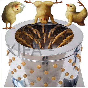 Equipo de Sacrificio de Aves de Corral, Desplumadora Automática de Aves con Tanque de Escaldado y Máquina de Corte, Video - Product Image 5