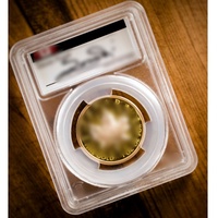 Pièce de monnaie en or de 1 OZ à relief ultra élevé en forme de feuille d'érable, certifiée PCGS, collection élite, support sécurisé avec zone de signature