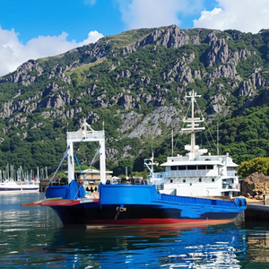 قارب عمل فاخر لسفن أبحاث ركاب البضائع 5m-30m دورية طيار إنقاذ باتاو النقل للتصدير - Product Image 1