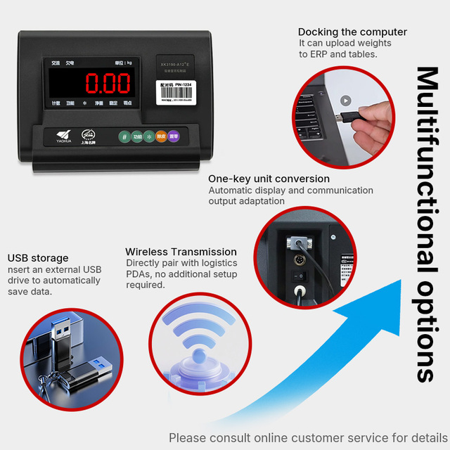 Mountscale Weighing Yaohua A12E OIML LCD Electronic Indicator with OEM/ODM Support 1G Accuracy for Floor & Bench Scales