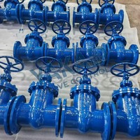 Válvula de Compuerta de Acero Inoxidable para Vapor, API 602, Regulación de Precisión, Tipo Y, PTFE, Válvula de Cabeza de Pozo