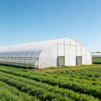 Serre agricole multi-travées à simple couche, grande, durable et économique, avec structure en acier galvanisé et couverture en film PE pour l'agriculture