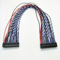 Pabrik OEM Kawat Harness Berkualitas Tinggi TJC8 Wiring Harness DP2.0MM 2*15P Terminal Wire Harness