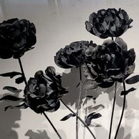 Pupu Ensembles géants de roses noires artificielles en papier, réalistes et faites à la main, pour décorations de fenêtre, fête des Mères, mariage et événements modernes